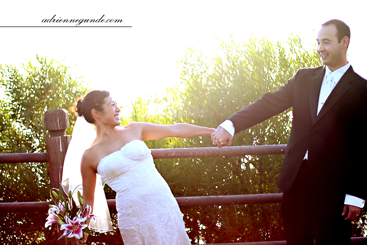 pointe vicente interpretive center wedding picture