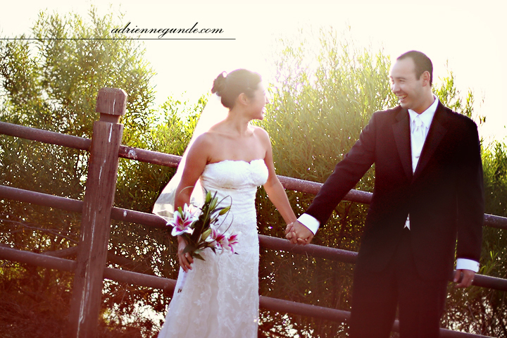 pointe vicente interpretive center wedding picture