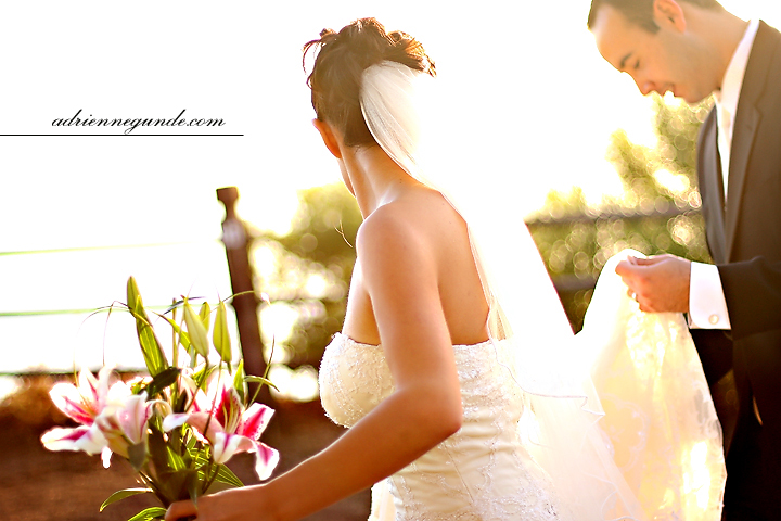 palos verdes wedding picture