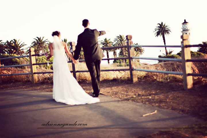 pointe vicente interpretive center wedding picture