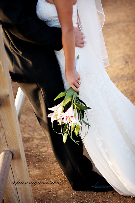 pointe vicente interpretive center wedding picture