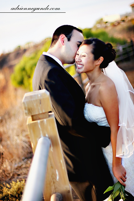 pointe vicente interpretive center wedding picture