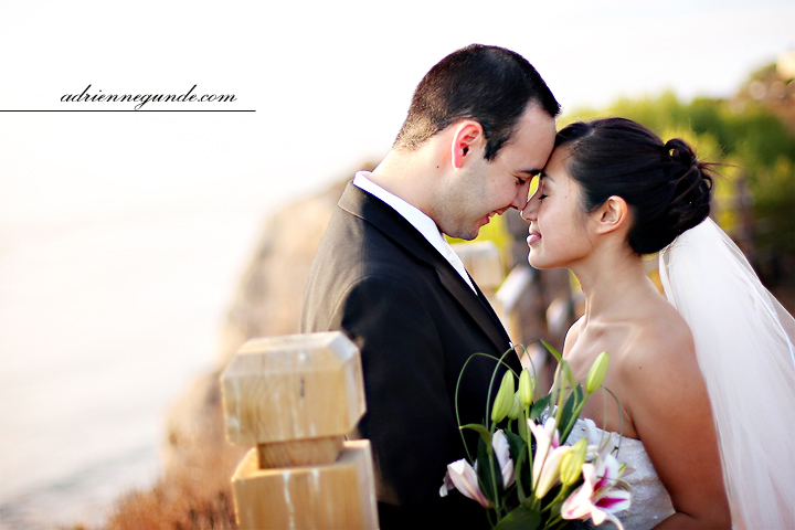 pointe vicente interpretive center wedding picture