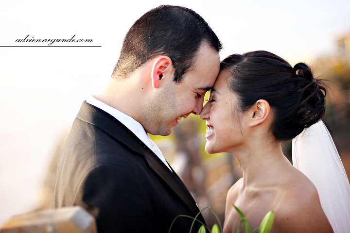 pointe vicente interpretive center wedding picture