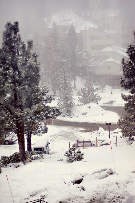 snow wedding picture