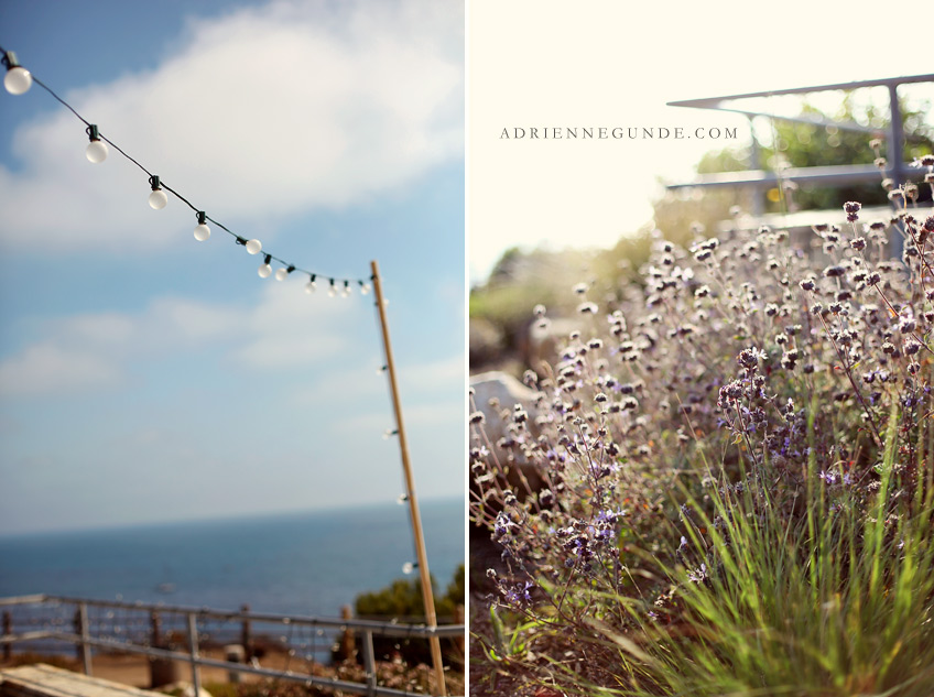 pointe vicente wedding