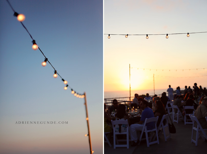 pointe vicente wedding