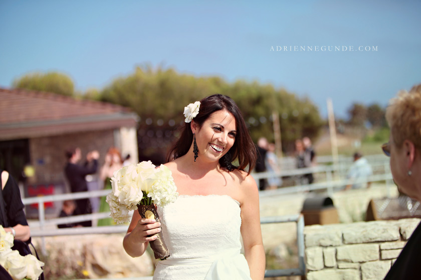 pointe vicente wedding