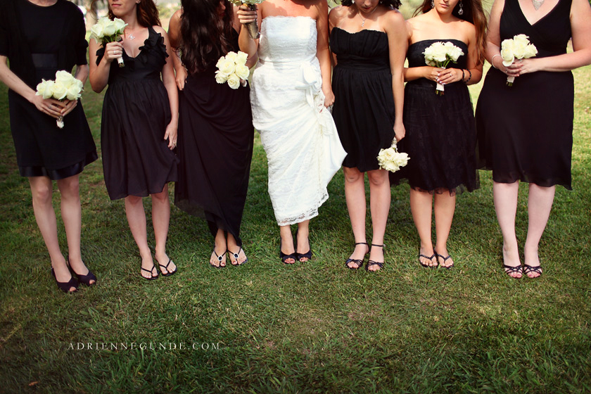 pointe vicente wedding picture