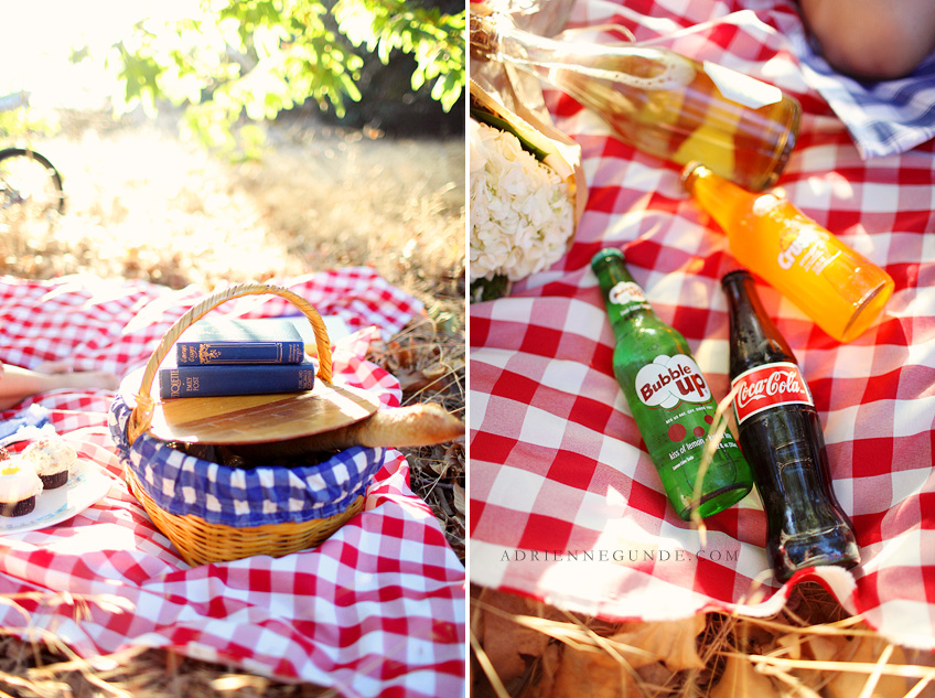 picnic engagement picture