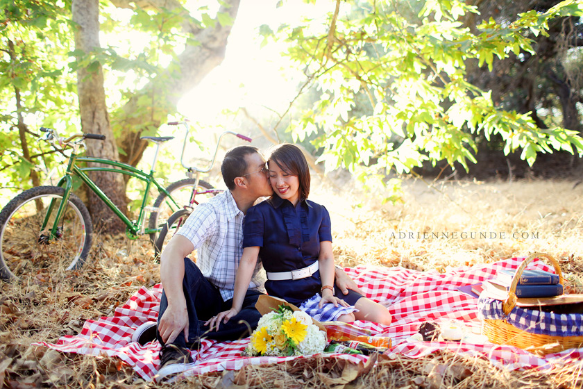 picnic engagement picture