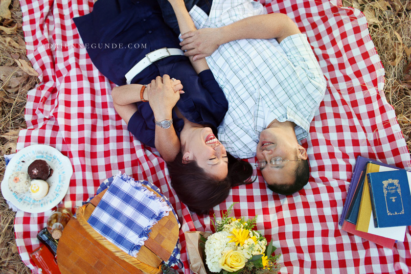 picnic engagement picture