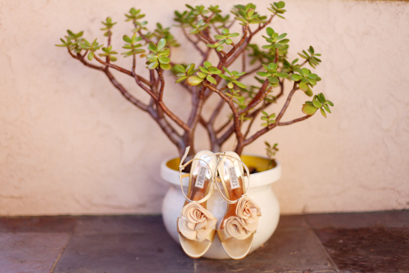 strawberry farms wedding